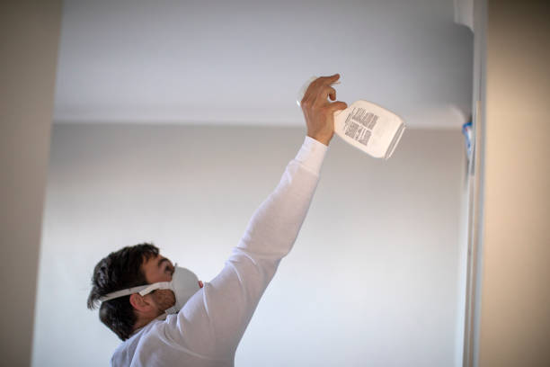 Best Mold Cleaning Services  in Slocom, AL